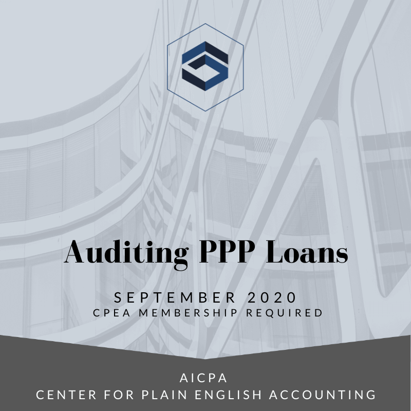 Auditing PPP Loans